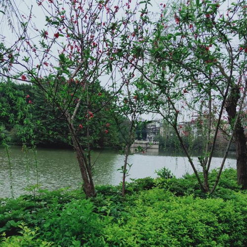 东湖公园游戏攻略