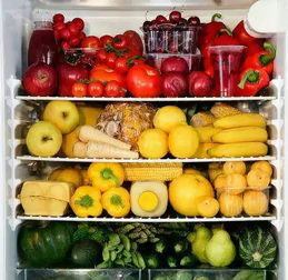 塞冰箱收纳游戏攻略