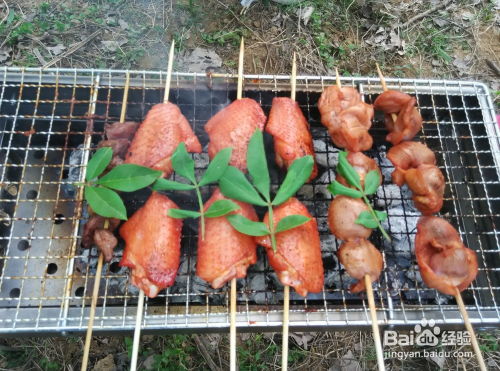 野外烧烤攻略游戏推荐