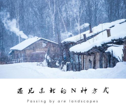 西安的雪下出东北的气势 西安的雪下出东北的气势