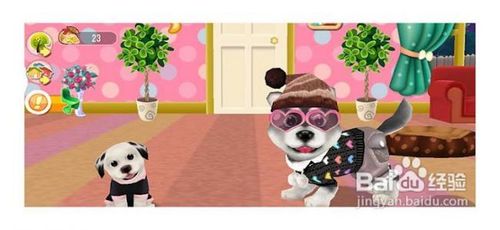 养狗狗的游戏攻略