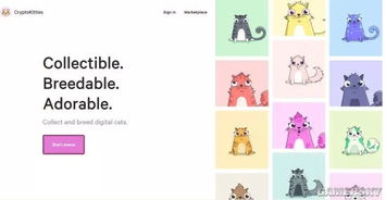 云养猫攻略游戏推荐 云养猫攻略游戏推荐