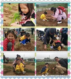 亲子网球游戏攻略 亲子网球游戏攻略