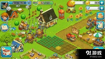 关于农场的游戏攻略