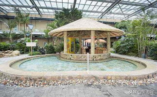 丹东温泉攻略游戏推荐