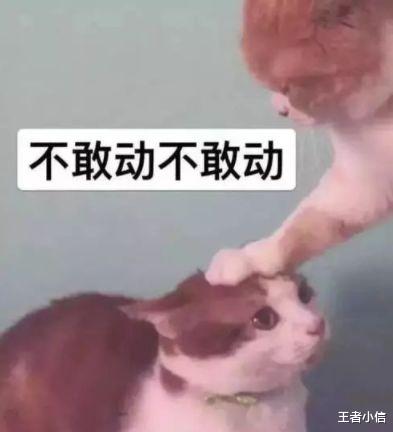 女子帮忙按600斤年猪脸被踢肿