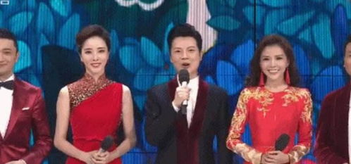 杜海涛刘涛于洋主持辽视春晚 杜海涛刘涛于洋主持辽视春晚