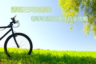 清明出游攻略游戏推荐