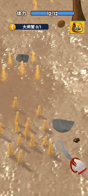 赶海攻略游戏推荐免费