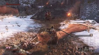 只狼剧情游戏攻略