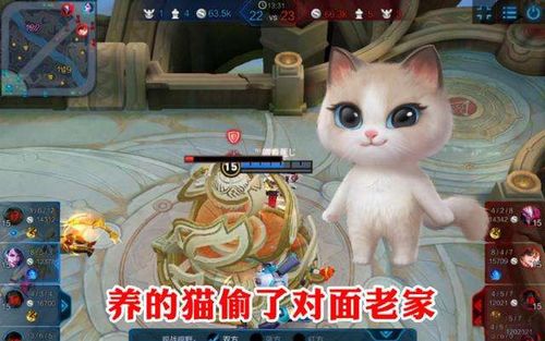 北美养猫攻略游戏推荐