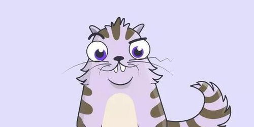 美国养猫攻略游戏推荐