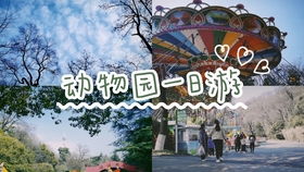 日本动物森林游戏攻略