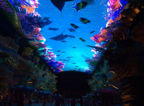 海洋王国机动游戏攻略