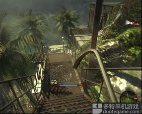 死亡岛系列游戏攻略