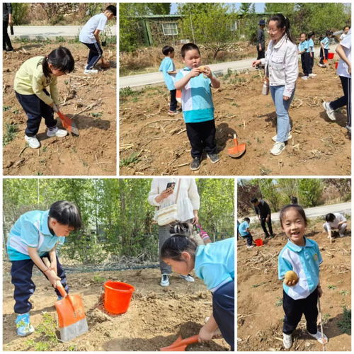 户外草地游戏攻略亲子