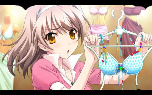 变装姐姐恋爱游戏攻略