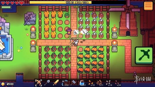 野炊攻略游戏推荐手游 野炊攻略游戏推荐手游