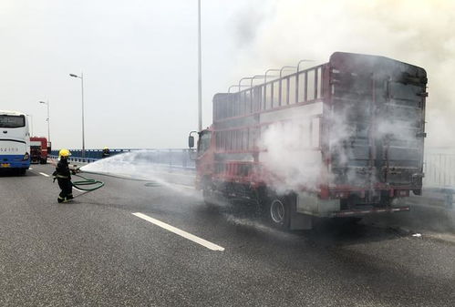 00后司机狂追5分钟截停起火货车