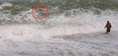 小孩被海浪卷走 白衣男冲入巨浪救人