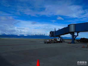 阿根廷旅游攻略游戏