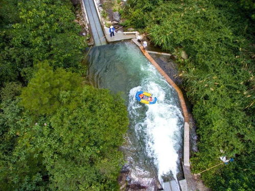 王菲带火\ 王菲带火\