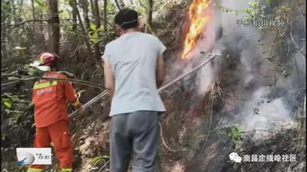 重庆小伙跳空翻给奶奶上坟火了