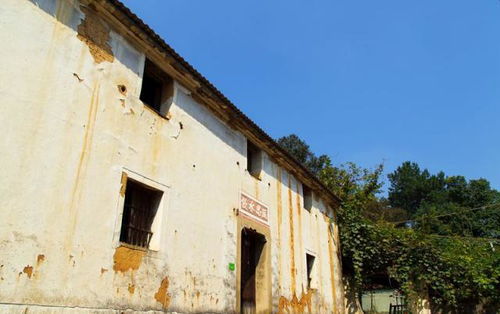 堂兄弟五人共墙重建老宅:约200万