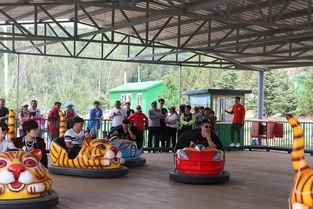 自驾游攻略游戏