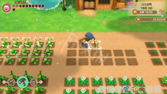 牧场物语攻略游戏