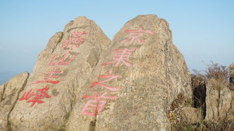 雾灵山攻略游戏