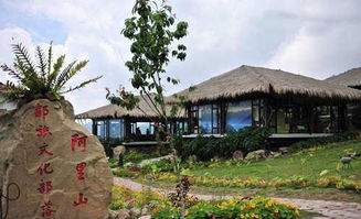 阿里山攻略游戏