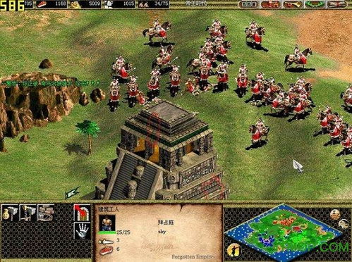 帝国时代2攻略游戏