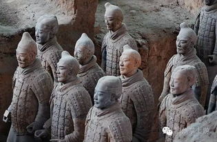 男子跳进兵马俑坑观赏 警方回应