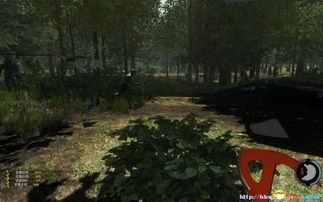 森林游戏视频攻略