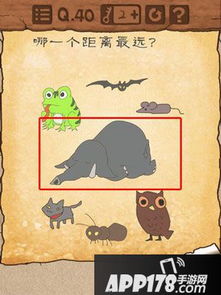 最囧游戏11攻略