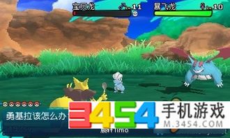 口袋妖怪日月攻略游戏 口袋妖怪日月攻略游戏