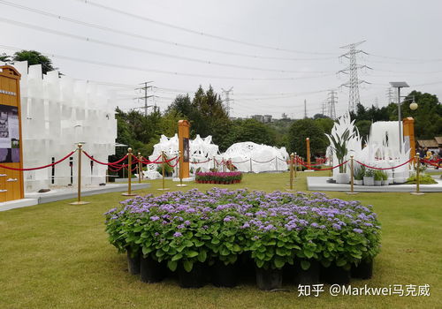 花博会攻略游戏