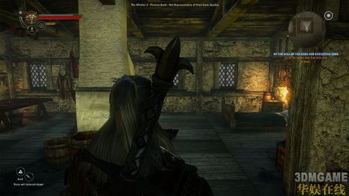 巫师2攻略游戏 巫师2攻略游戏