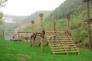 莫干山攻略游戏