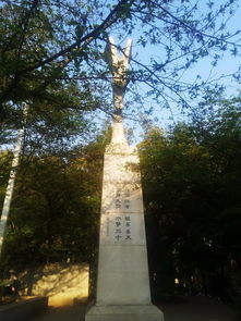 武汉大学攻略游戏