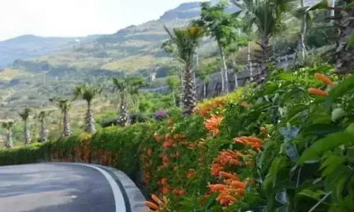 攀枝花攻略游戏