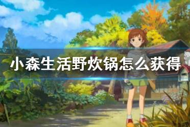 野炊攻略游戏