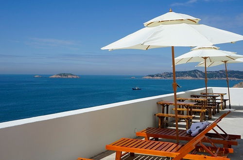 枸杞岛攻略游戏