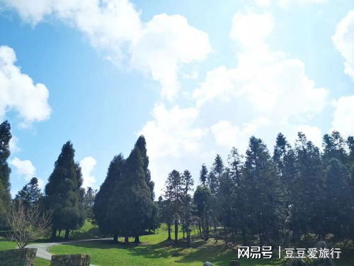 仙女山攻略游戏 仙女山攻略游戏