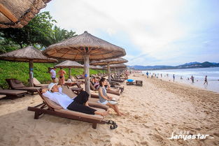 大东海攻略游戏