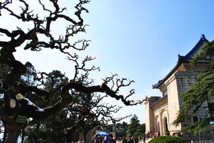 中山陵攻略游戏