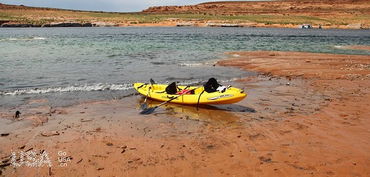 盐湖城攻略游戏