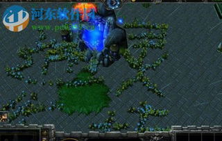 勇敢者的游戏 攻略 勇敢者的游戏 攻略