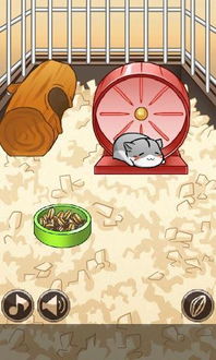 仓鼠游戏 攻略 仓鼠游戏 攻略